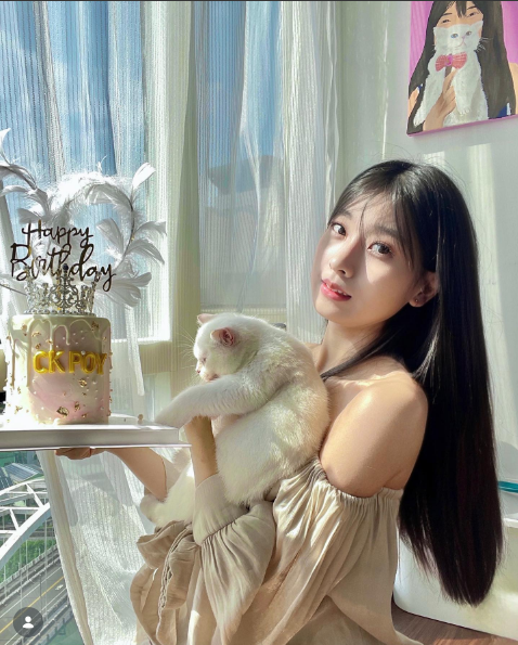 螢幕擷取畫面 2026-07-03 012358.png