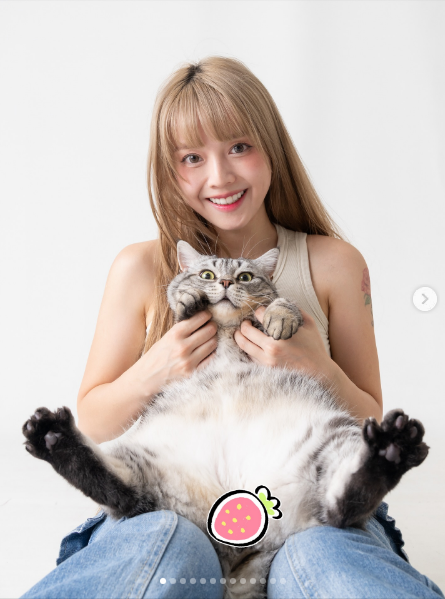 螢幕擷取畫面 2026-07-19 000903.png