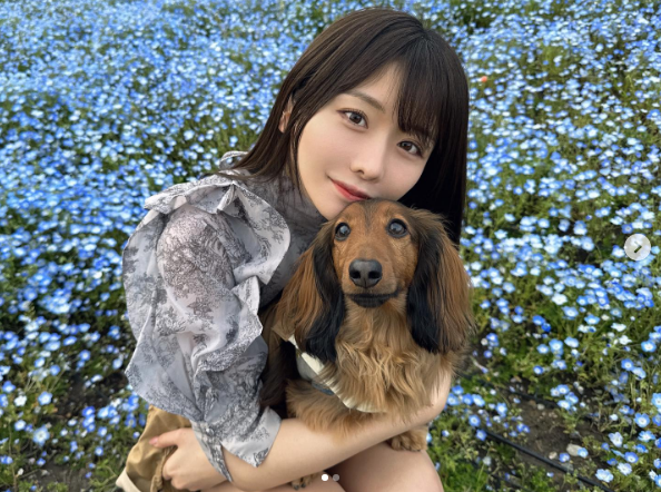 螢幕擷取畫面 2026-07-28 135459.png
